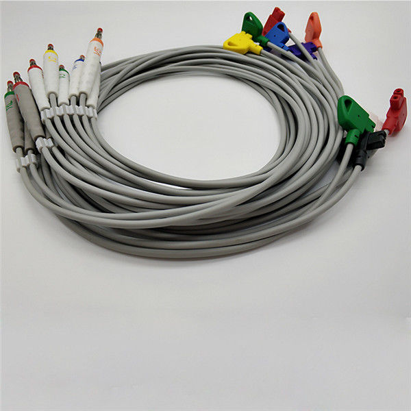 10 Leads Philips ECG Trunk Cable Recorder , Banana Medical Ekg AHA Standard