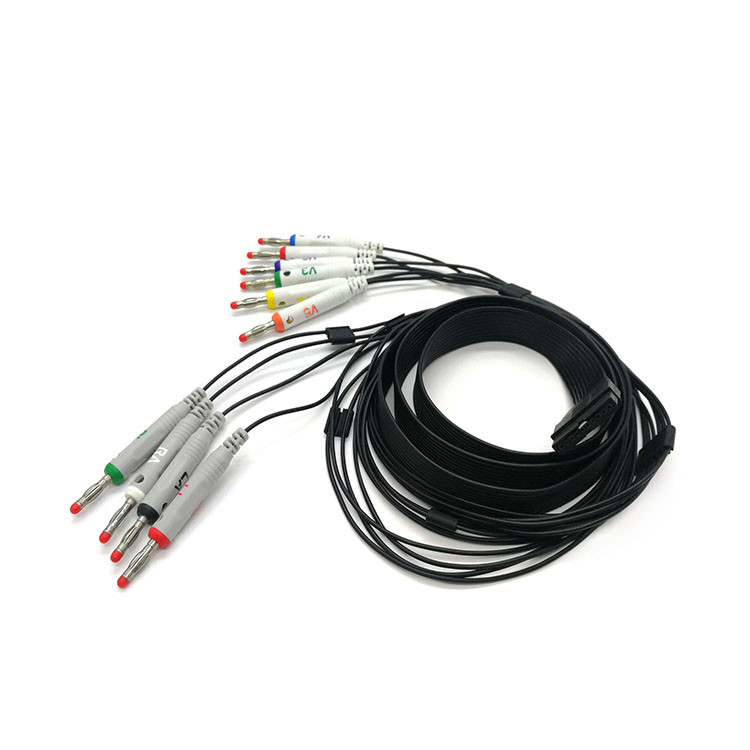 AHA Schiller ECG Holter Cable IEC 10 Leads ECG Banana Cable