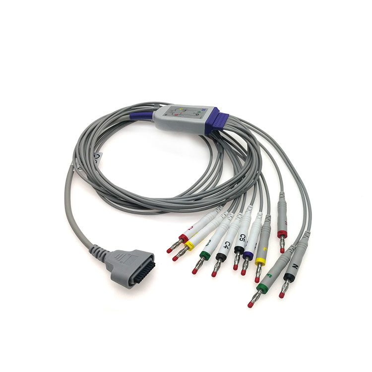 EDAN DX12 Compatible 10 Leads IEC AHA Holter ECG Cable With Banana 4.0